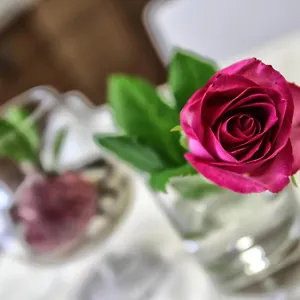 Aleksandr Bed & Breakfast Brindisi